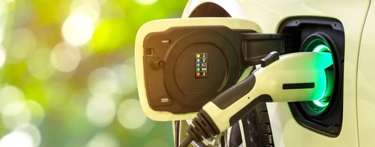 Installation autonome en Ardennes (boucherie)