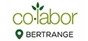Co-labor